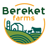 logo-3